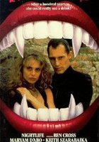 Ночная жизнь