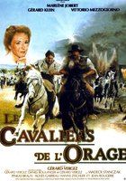 Всадники бури