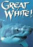 Great White (видео)