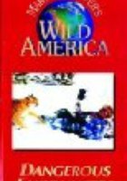 Dangerous Encounters (видео)