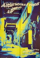 Пока летит летучая мышь