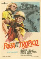 Flucht in die Tropennacht