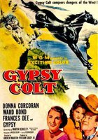 Gypsy Colt