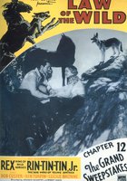 Закон дикой природы