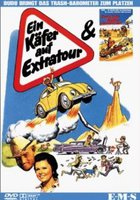 Ein Käfer auf Extratour