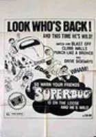 Ein Käfer geht aufs Ganze