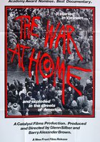 Домашняя война