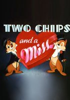 Два бурундука и одна мисс