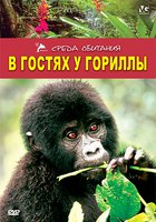 В гостях у гориллы