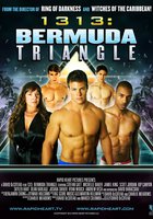 1313: Бермудский треугольник (видео)
