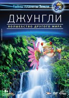 Джунгли 3D: Волшебство другого мира (видео)