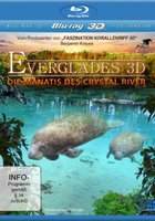 Приключение в Эверглэйдс (видео)