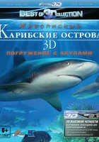 Карибские острова 3D: Погружение с акулами (видео)