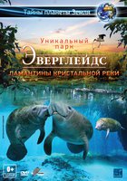 Эверглейдс 3D: Ламантины Кристальной реки (видео)
