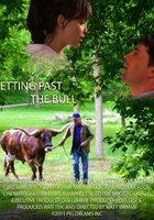 Getting Past the Bull