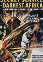 Секретная служба в Африке