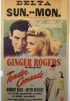 Нежный товарищ