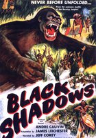 L'Équateur aux cent visages