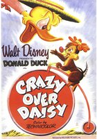 Crazy Over Daisy