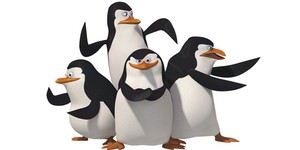 Пингвинам «Мадагаскара» посвятят полнометражку