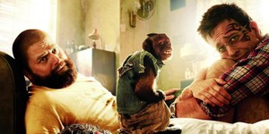 «Мальчишник в Вегасе» станет трилогией