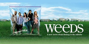 «Косяки» для Шорта и Куинна