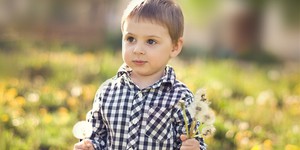 Кино из одуванчиков