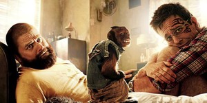 Режиссер «Мальчишника в Вегасе» нашел себе покровителя