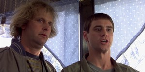 Братья Фаррелли начнут тупеть осенью