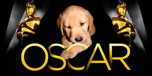 Щенки предсказали победителя на «Оскаре»