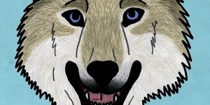 В Киеве пройдет фестиваль короткометражек New Vision