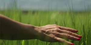 Украинский фильм «Данина» претендует на «Скифского оленя» Украинский фильм «Данина» претендует на «Скифского оленя»