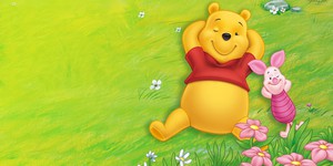 В польском городе запретили использовать изображение Винни Пуха