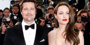 Брэд Питт хочет защищать слонов в новом фильме Джоли