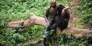 Леонардо ДиКаприо снимет для Netflix серию экологических документалок