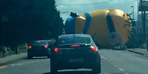 Гигантский надувной миньон заблокировал трассу в Ирландии