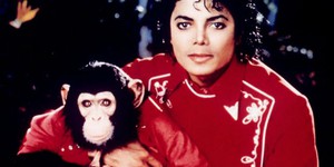 Сценарий о шимпанзе Майкла Джексона попал в «Черный список» Сценарий о шимпанзе Майкла Джексона попал в «Черный список»