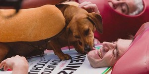 В Киеве покажут самую дорогую рекламу 2016 года