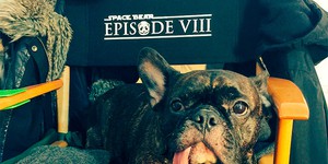Восьмой эпизод «Звездных войн» получил рабочее название