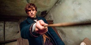 «Фантастические звери и места их обитания 2» получили дату релиза «Фантастические звери и места их обитания 2» получили дату релиза