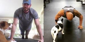 Отожмись 22 раза: новый флэшмоб среди знаменитостей