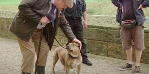 В «Трансформерах 5» снялась самая одинокая собака в мире В «Трансформерах 5» снялась самая одинокая собака в мире