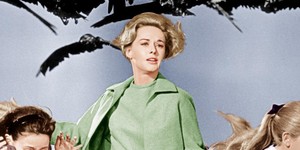 BBC готовит фильм на основе «Птиц» Хичкока