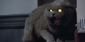 Для новой экранизации Стивена Кинга нашли режиссеров