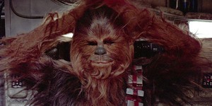 В Великобритании мини-Чубакка выиграл собачий конкурс красоты