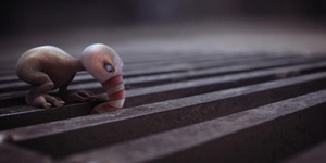 В Запорожье пройдет международный кинофестиваль