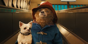 Британские дети посмотрели порно вместо «Паддингтона»