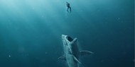 Фильм про акулу и Джейсона Стэйтема возглавил американский прокат