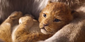 Премьера тизера: новый «Король Лев»