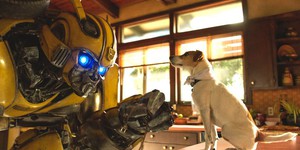 Сиквел «Бамблби» уже в разработке